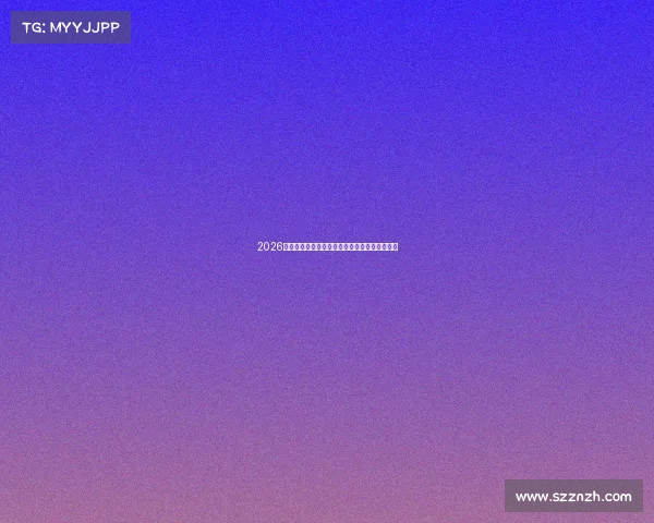 2026世界杯球迷同款激情装备助你畅享赛场狂欢体验